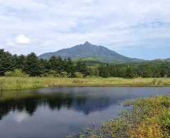minamihama-wetlands-view